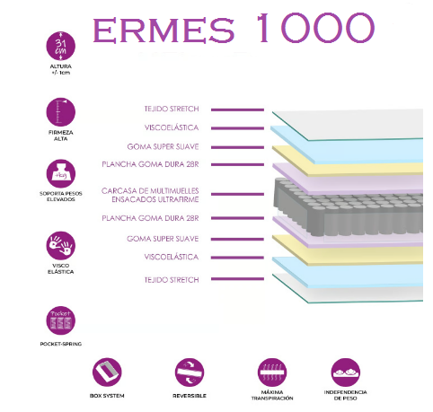 ERMES 1000