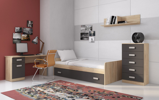 DORMITORIO JUVENIL Nº2