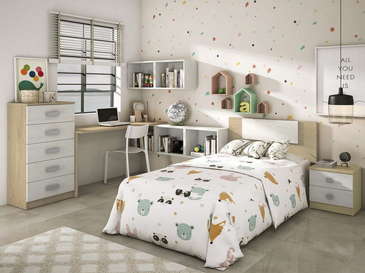 DORMITORIO JUVENIL Nº3