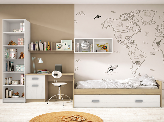 DORMITORIO JUVENIL Nº5